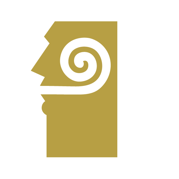 logo decibel or